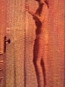 Ann Margret nude 77