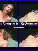 Barbara Crampton nude 23