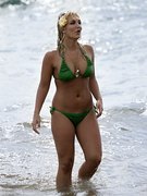 Brooke Hogan nude 48