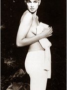 Cindy Crawford nude 302