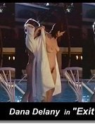Dana Delany nude 12