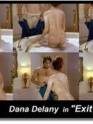 Dana Delany nude 16