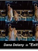 Dana Delany nude 18