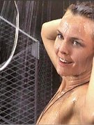 Dina Meyer nude 49