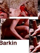 Ellen Barkin nude 22