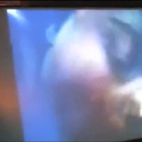 Alleged Rapper Foxy Brown Sex Tape
