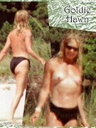 Goldie Hawn nude 16. 
