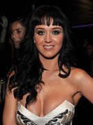 Katy Perry nude 246