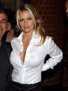 Pamela Anderson nude 233