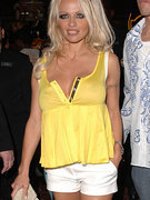 Pamela Anderson nude 389
