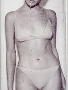 Rachael Leigh Cook nude 38