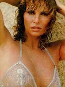 Raquel Welch nude 49