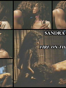 Sandra Bullock nude 41