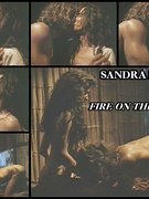 Sandra Bullock nude 92