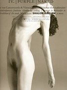 Shalom Harlow nude 187
