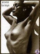 Sonia Braga nude 43