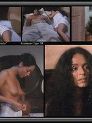 Sonia Braga nude 73