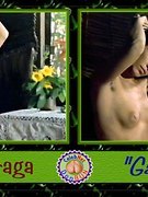 Sonia Braga nude 79