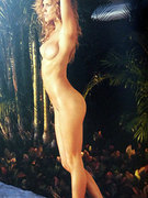 Tricia Helfer nude 73