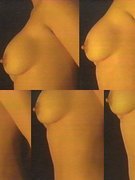 Moore Demi nude 252